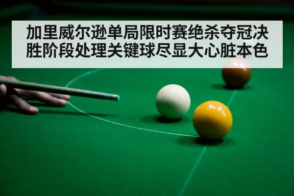 加里威尔逊单局限时赛绝杀夺冠决胜阶段处理关键球尽显大心脏本色
