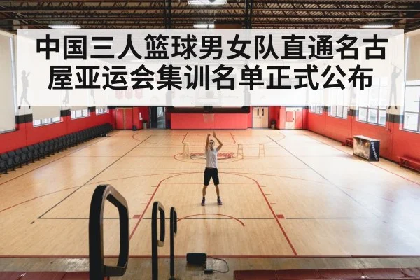basketball training court
